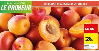 Carrefour Abricot offre