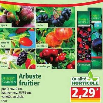 Norma Finest garden arbuste fruitier offre