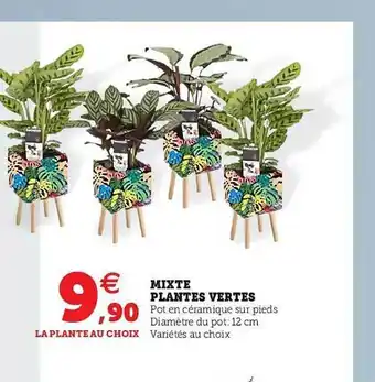Super U Mixte Plantes Vertes offre
