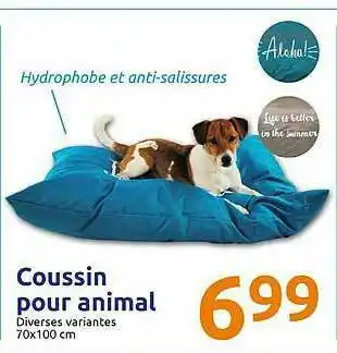 Action Coussin Pour Animal offre
