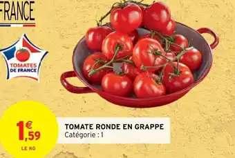 Tomate Ronde En Grappe