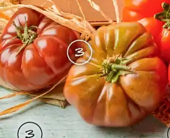 Colruyt Tomates Noires d'antan offre