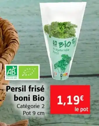 Persil Frisé boni bio