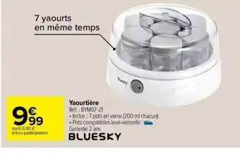Carrefour Bluesky yaourtière offre