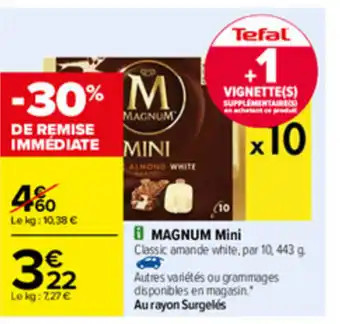 Carrefour Magnum Mini offre