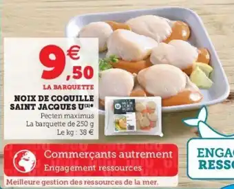 Super U Noix de Coquille Saint Jacques U offre