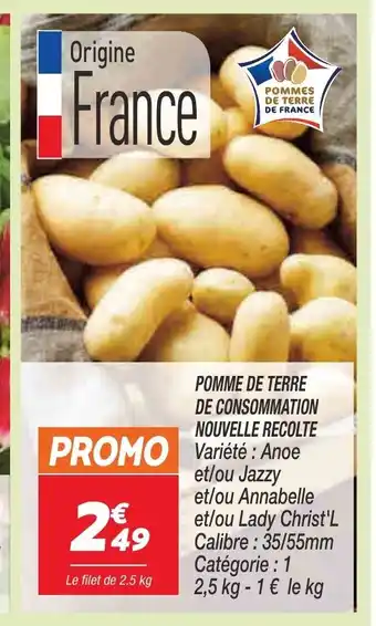Netto Pomme de terre de Consommation Nouvelle Recolte offre