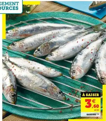 Super U Sardine offre