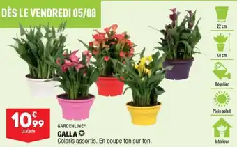 ALDI GARDENLINE calla offre