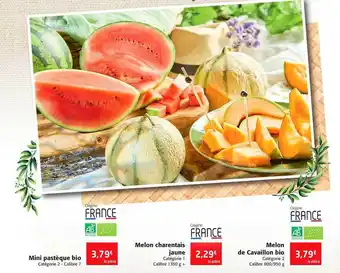 Colruyt Mini pastèque bio, melon charentais jaune, melon de cavaillon bio offre
