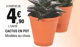 E.Leclerc Cactus en pot offre