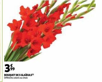 Auchan Supermarché Bouquet de 5 glaïeuls offre