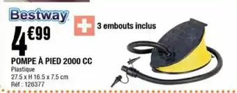 La Foir'Fouille Pompe À pied 2000 cc offre
