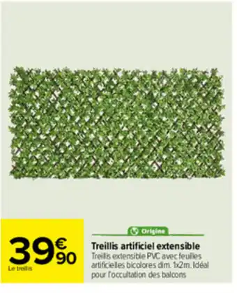Carrefour Treillis artificiel extensible offre