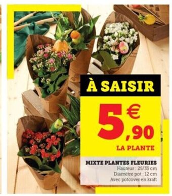 Hyper U Mixte Plantes Fleuries offre