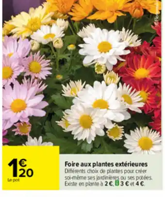 Carrefour Foire aux plantes extérieures offre