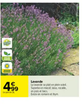 Carrefour Lavande offre