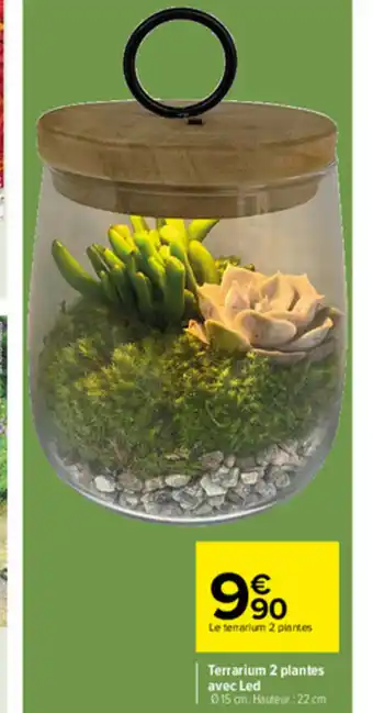 Carrefour Terranium 2 plantes avec Led offre