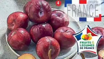Prune rouge