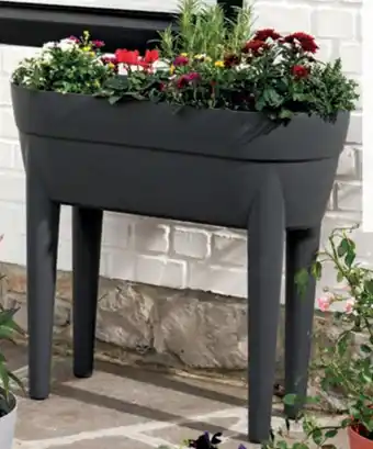 La Foir'Fouille Jardinière sur pieds Cancun offre