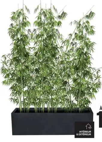 La Foir'Fouille Jardinière offre