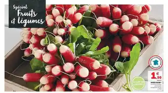 U Express Radis rose offre