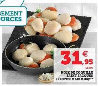Hyper U Noix de coquille saint jacques (pecten maximus) offre