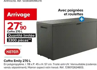 Castorama Keter coffre emily 270 l offre