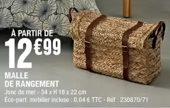 La Foir'Fouille Malle de rangement offre