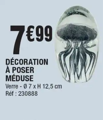 La Foir'Fouille Décoration à poser Méduse offre