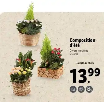 Lidl Composition d'été offre