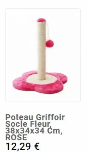 Poteau griffoir socle fleur