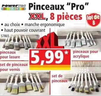 Pinceaux "pro"