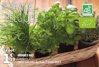 Auchan Herbes bio offre