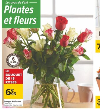 Carrefour Bouquet de 15 Roses offre