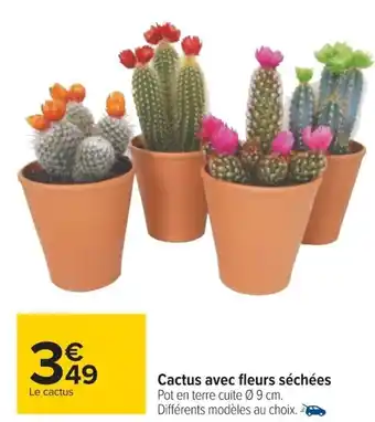 Carrefour Cactus Avec Fleurs Séchées offre