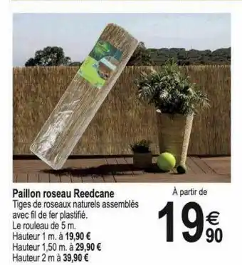 Paillon roseau reedcane
