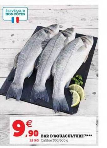 Hyper U Bar d'aquaculture offre