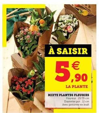 Hyper U Mixte plantes fleuries offre