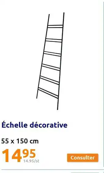 Action Échelle décorative offre