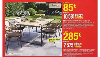 Brico Dépôt Fauteuil imitiation osier halesio,table en composite imitation bois halesio offre