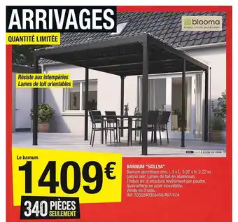 Brico Dépôt Barnum sollya offre