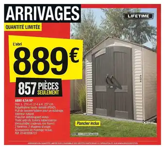 Brico Dépôt Abri 4,54m² offre