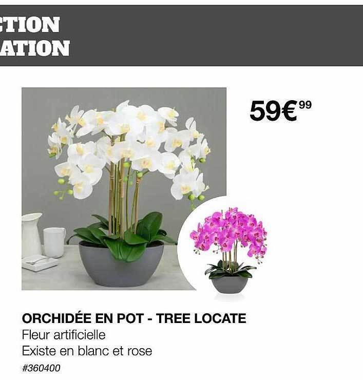 Promo Orchidée en pottree locate chez Costco