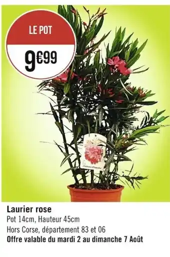 Casino Supermarchés Laurier Rose offre