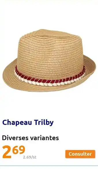 Action Chapeau trilby offre