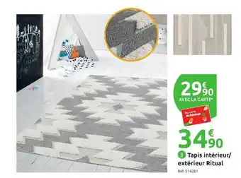 Mr Bricolage Tapis Intérieur - Extérieur Ritual offre