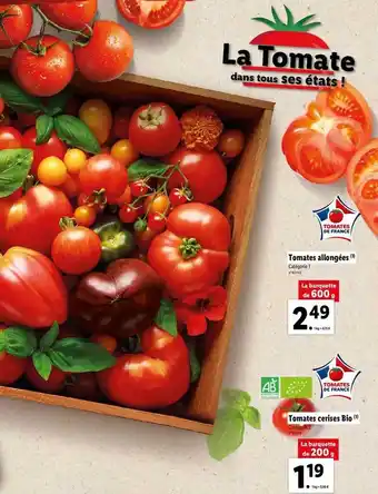 Lidl Tomates allongées, tomates cerises bio offre