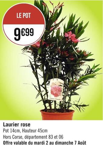Géant Casino Laurier rose offre