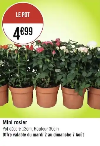 Géant Casino Mini rosier offre